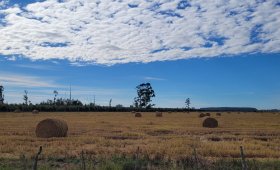 195 ha. Agrícolas en C. del Uruguay